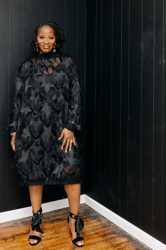 Lizell Luxe Sheer Dress