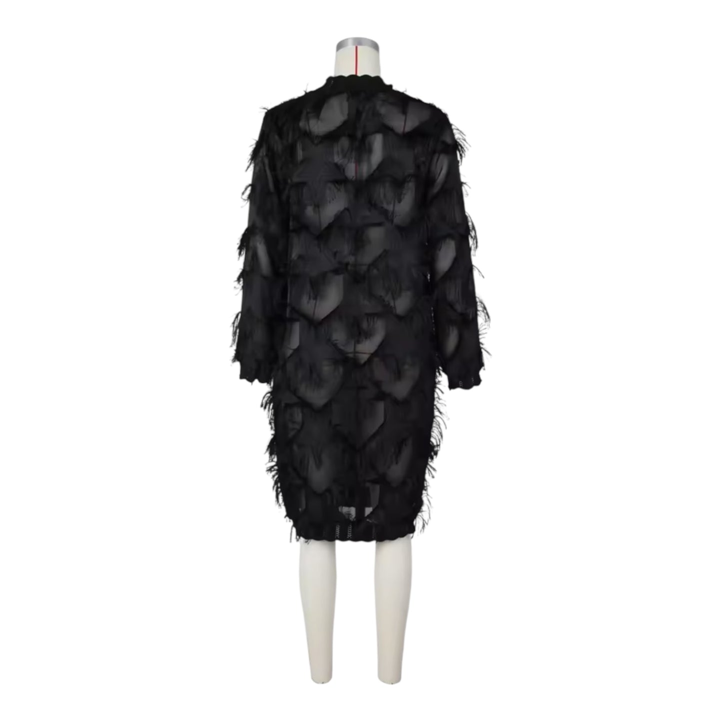 Lizell Luxe Sheer Dress